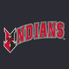 Indianapolis Indians Adult Black Paul Skenes Player Wordmark Tee